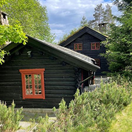 Hallingstua Осло Экстерьер фото